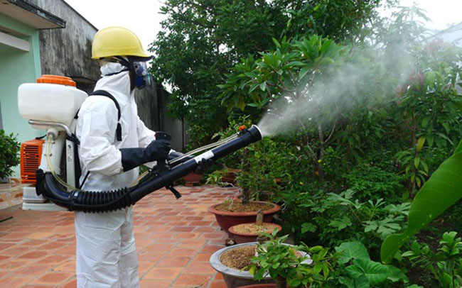 top 10 công ty diệt côn trùng tại tphcm uy tín nhất