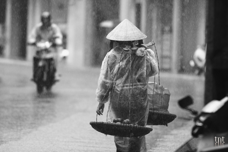 đà lạt, những ngày mưa