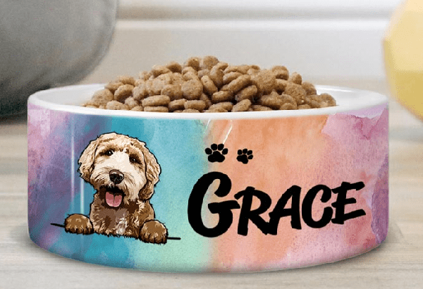 Bắt kịp xu hướng tiêu dùng cùng sản phẩm custom pet bowl độc đáo