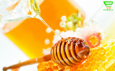 ăn mật ong nguyên chất, chai mật ong rừng, giá mật ong hoa nhãn, mật ong hoa nhãn, mật ong nhãn, mật ong rừng, mật ong rừng hoa nhãn, mua mật ong chính hãng, mua mật ong rừng, khám phá ngay 10 cửa hàng uy tín mua mật ong hoa nhãn