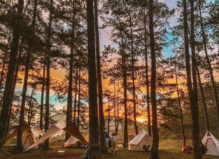 cắm trại đà lạt – tour cắm trại săn mây xịn nhất tại đà lạt