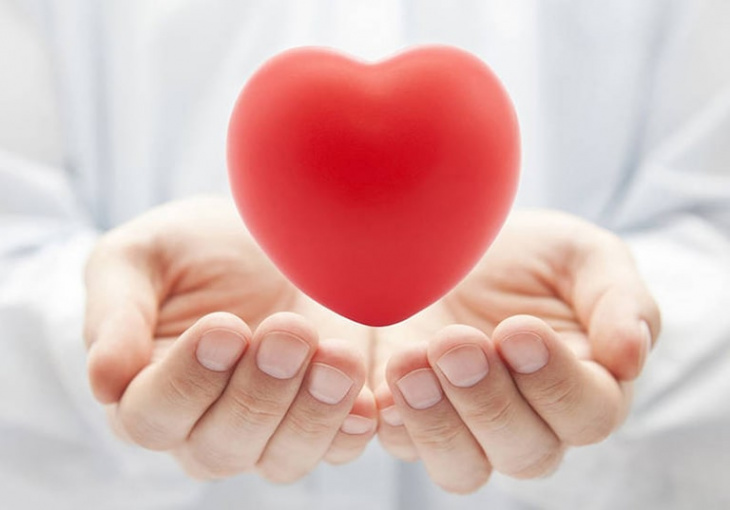 bác sĩ tim mạch giỏi, top 10 bác sĩ tim mạch giỏi tphcm mà bạn nên biết