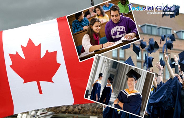 triển lãm du học canada, trung tâm du học canada, tư vấn du học canada, note ngay top 10 trung tâm tư vấn du học canada tại tphcm