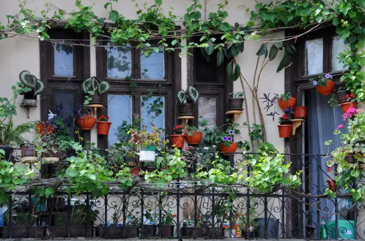 , 5 ý tưởng vườn ban công xinh yêu cho nhà phố