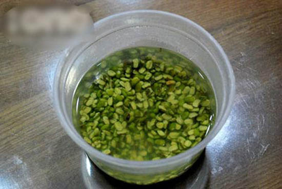 Hướng dẫn cách làm nước đậu xanh lá dứa đơn giản tại nhà