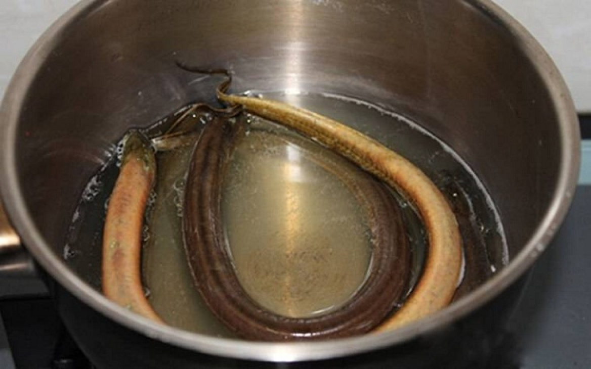 Cách nấu cháo lươn non thơm ngon cho bé ăn dặm tại nhà