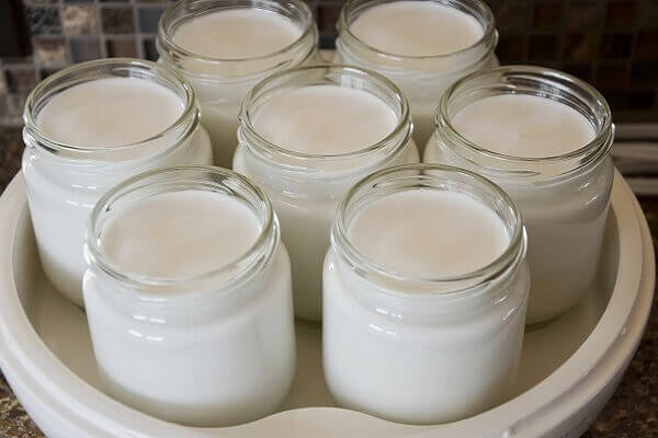 cách làm sữa chua dẻo thơm ngon mát lạnh tại nhà