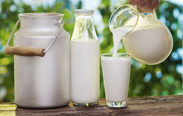cách nấu sữa bò tươi tại nhà ngon và bổ dưỡng nhất