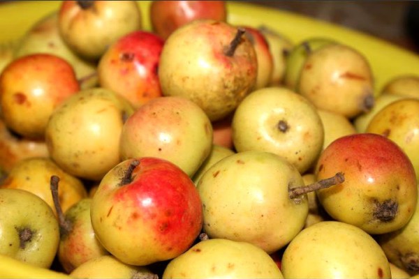 cách làm dấm, dấm táo, táo mèo, cách làm dấm táo mèo bổ dưỡng tại nhà