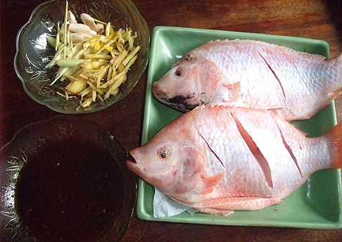 ăn gì hôm nay, các món ăn ngon, món ngon mỗi ngày, món ngon từ cá, cá hấp xì dầu: cá diêu hồng mới ngon