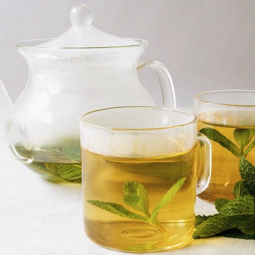 bạc hà, món ngon dễ làm, tốt cho sức khỏe, trà, truy tìm cách làm trà bạc hà vừa đơn giản lại tốt cho sức khỏe