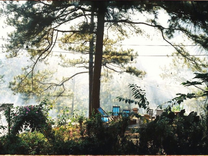 homestay,   												homestay moonrise garden đà lạt