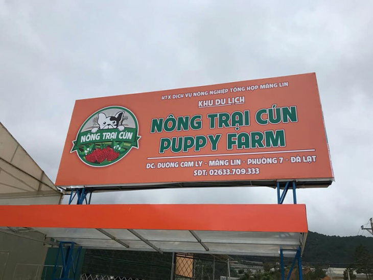 Trang trại chó Puppy Farm Đà Lạt