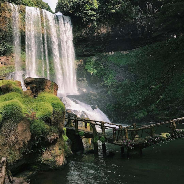lịch trình,   												thác dambri bảo lộc – vẻ đẹp ngoạn mục giữa tây nguyên đại ngàn