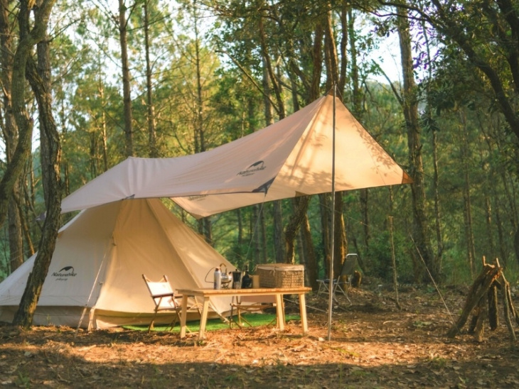 Review trải nghiệm tour cắm trại cùng Lux Camp Đà Lạt