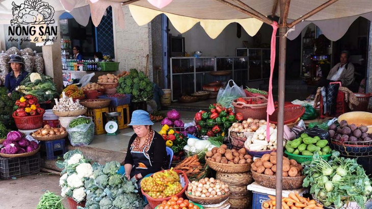 địa điểm,   												đi chợ nông sản đà lạt, mua rau củ quả “tại vườn”