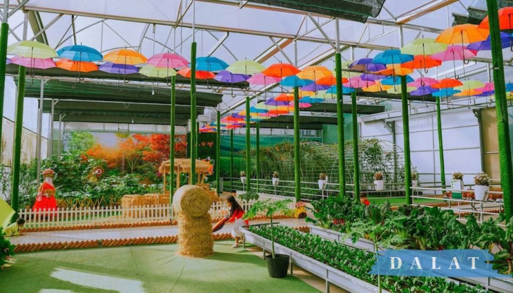 fresh garden đà lạt – vẻ đẹp đốn tim du khách hot nhất 2021