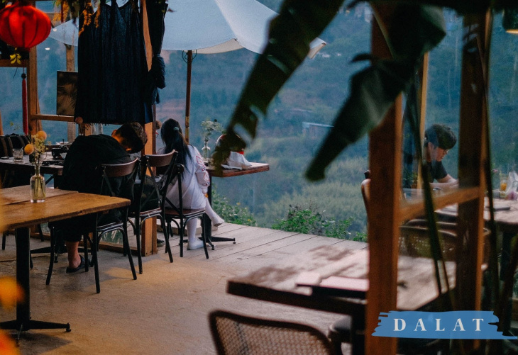 in the forest đà lạt – quán cafe cực chill nằm lọt thỏm giữa đồi thông tuyệt đẹp