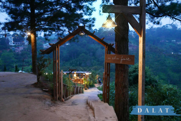 in the forest đà lạt – quán cafe cực chill nằm lọt thỏm giữa đồi thông tuyệt đẹp