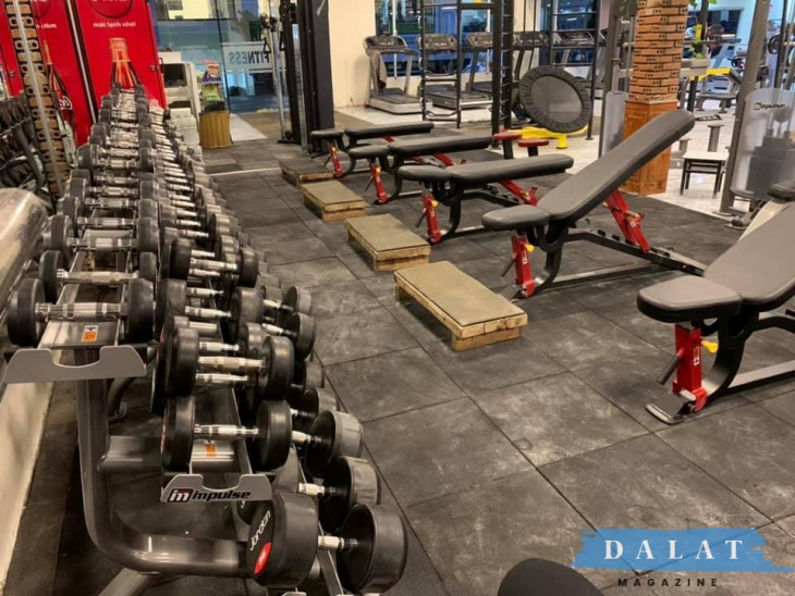 top 5 phòng gym đà lạt chất lượng, giá tốt nhất 2021