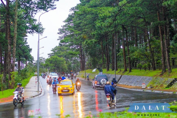 mùa mưa đà lạt có gì đẹp? kinh nghiệm du lịch đà lạt vào mùa mưa