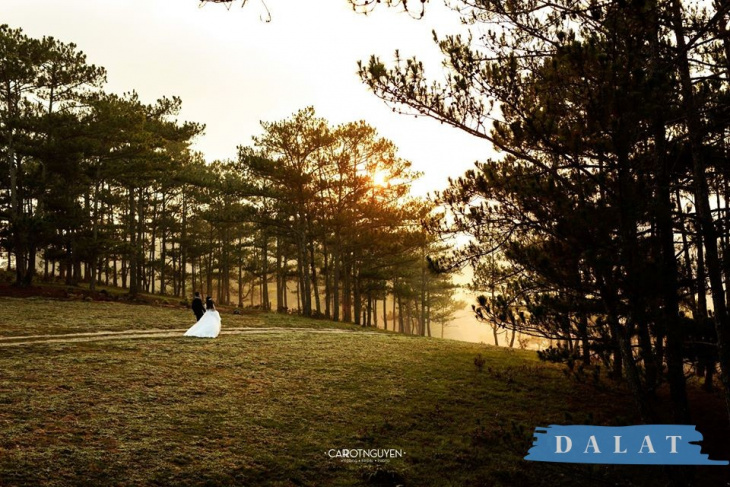 top 14+ studio chụp ảnh cưới đẹp ở đà lạt