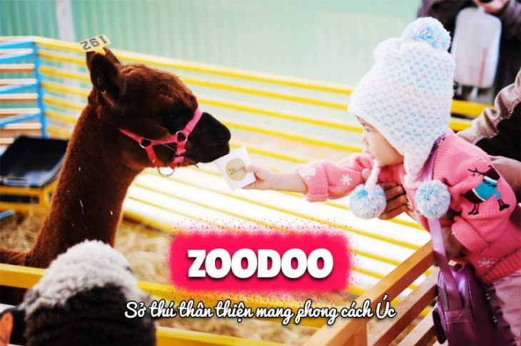 địa điểm,   												sở thú zoodoo đà lạt – đường đi chi tiết và lưu ý khi tham quan