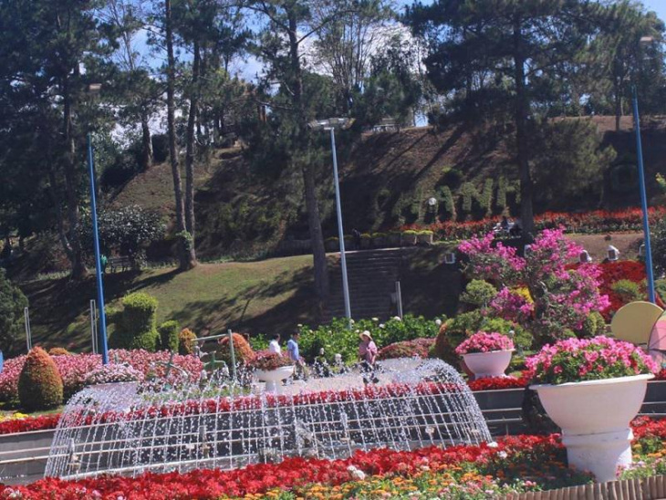 lịch trình,   												vườn hoa thành phố đà lạt – điểm check-in sống ảo đẹp ngây ngất