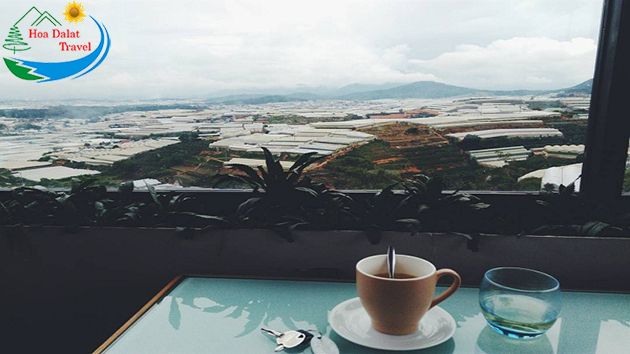 địa điểm,   												café panorama đà lạt – nơi chiêm ngưỡng “kinh đô ánh sáng” từ trên cao có 1 không 2