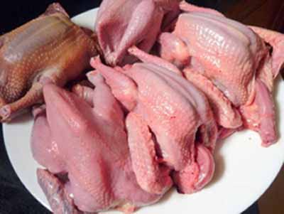 thịt chim bồ câu, món cháo, chim bồ câu, cháo chim bồ câu, cách làm thịt chim bồ câu nấu cháo chuẩn nhất, không bị tanh