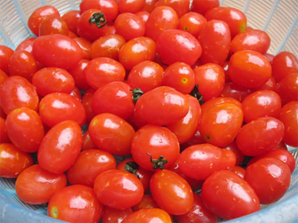 mứt tết, mứt cà chua, món mứt, cà chua, thực hiện dễ dàng với cách làm mứt cà chua bi khô siêu dễ này