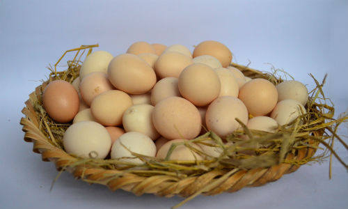 trứng gà, trứng, rượu trứng gà, rượu ngâm, rượu, ngâm rượu, gà, cùng tìm hiểu xem trứng gà ngâm rượu có tác dụng gì nào?
