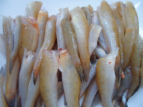 món kho, cá kho, cá bống biển, cá bống, cá, choáng với cách làm cá bống biển kho ngon càng ăn càng mê