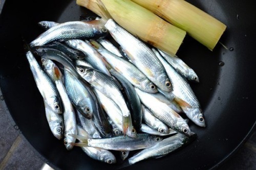 Cách kho cá linh rục xương – món ngon miền Tây Nam Bộ