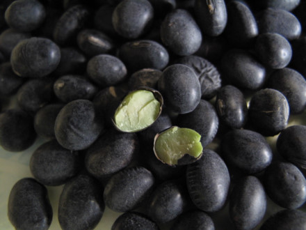 Tìm hiểu công dụng của đậu đen xanh lòng rang nấu nước uống – chất lượng trên cả tuyệt vời