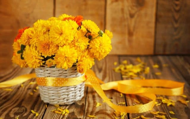 tết, ngày tết, hoa cúc, cắm hoa, cách cắm hoa, hướng dẫn cách cắm hoa cúc để bàn thờ sao cho chuẩn nhất