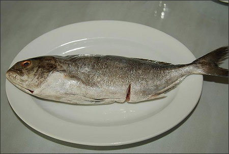 món cháo, món ăn cho bé, cháo cá cu, cháo cá, cá cu, cá, trổ tài vào bếp với cách nấu cháo cá cu ngon độc lạ