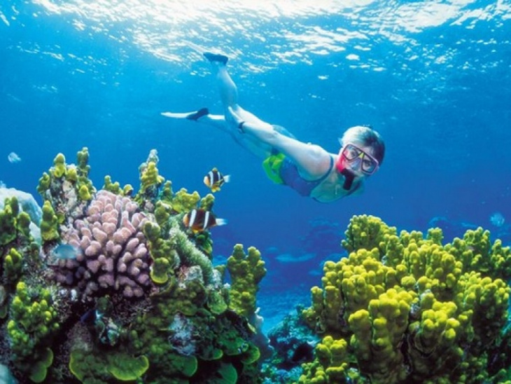 5 Điểm ngắm san hô đẹp nhất trong dịp hè bạn nên biết