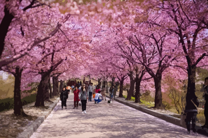 Những Lễ Hội Mùa Xuân Của Hàn Quốc Bạn Phải Trải Nghiệm Một Lần