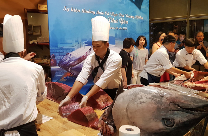 Phú Yên quảng bá cá ngừ đại dương đến du khách