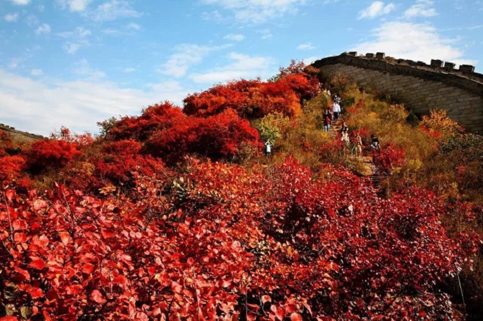 Những khu rừng ngắm lá vàng lá đỏ đẹp nhất Trung Quốc