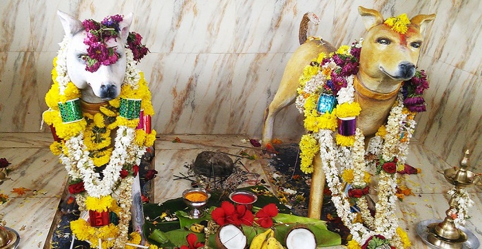 Tham quan ngôi đền thờ Thần Chó nổi tiếng nhất của Ấn Độ