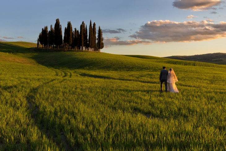 Ngây ngất trước vẻ đẹp của cánh đồng hoa hướng dương ở Tuscany nước Ý