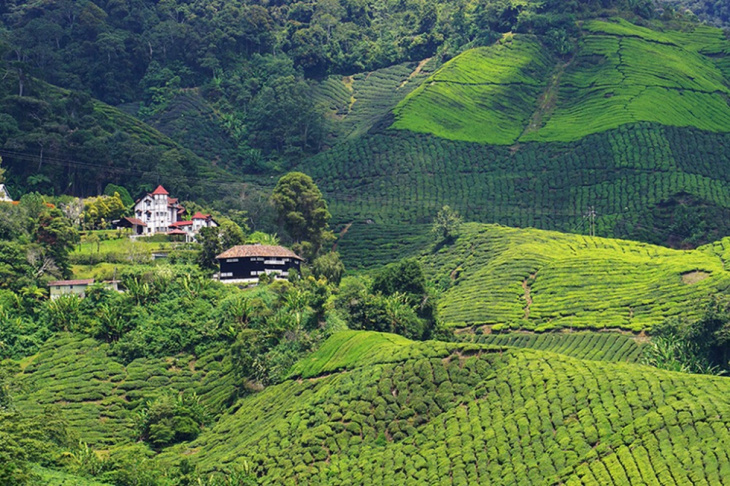 10 điểm du lịch malaysia bạn không thể bỏ qua, 10 điểm du lịch malaysia bạn không thể bỏ qua