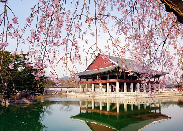 khám phá cung điện hoàng gia gyeongbokgung ở seoul- hàn quốc, khám phá cung điện hoàng gia gyeongbokgung ở seoul, hàn quốc