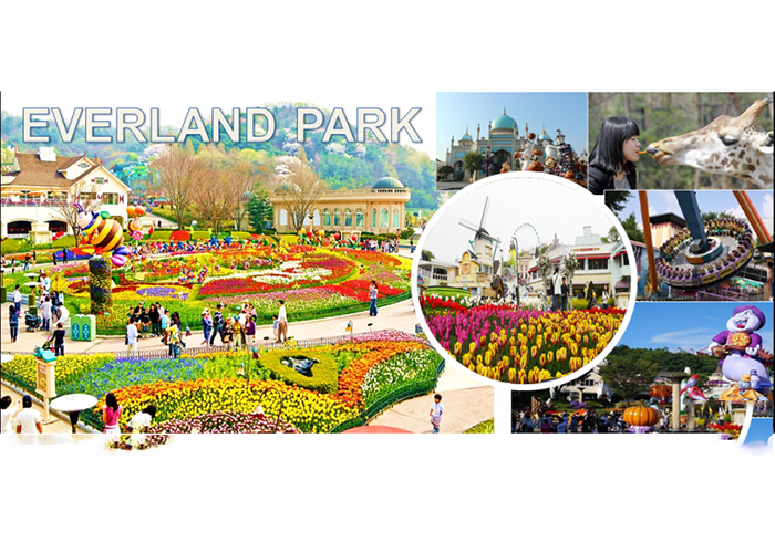 Khám phá Everland, công viên giải trí lớn nhất Hàn Quốc