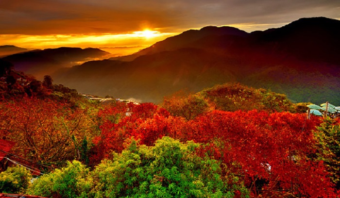 Du lịch Đài Loan Mùa lá vàng lá đỏ