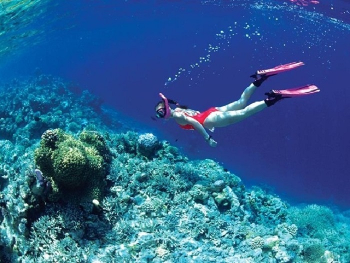 Lặn ngắm san hô Phú Quốc giá bao nhiêu