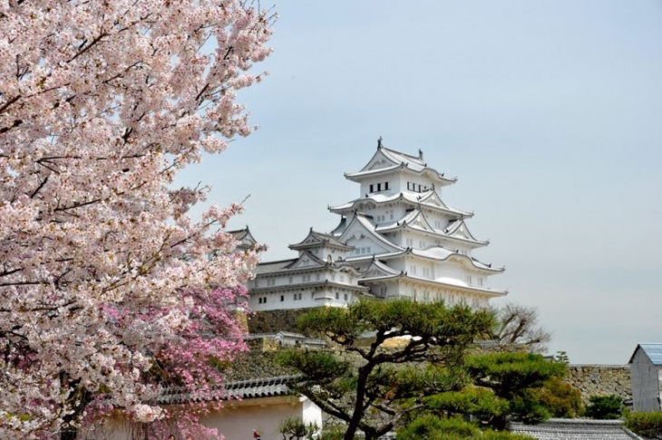 5 lâu đài đẹp nhất ở Nhật Bản bạn nên đến một lần trong đời