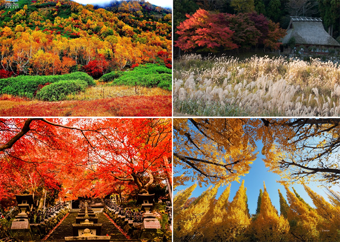 6 địa điểm lý tưởng khi đi du lịch nhật bản vào mùa thu, 6 địa điểm lý tưởng khi đi du lịch nhật bản vào mùa thu